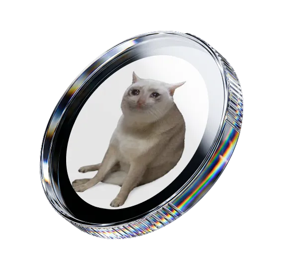 CASHCAT