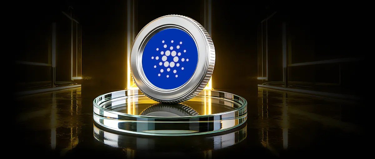 <p>ADA airdrop: Share</p><p>50,000 USDT</p>