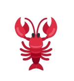 <p>CLAWNCH 空投：50,000 USDT</p>