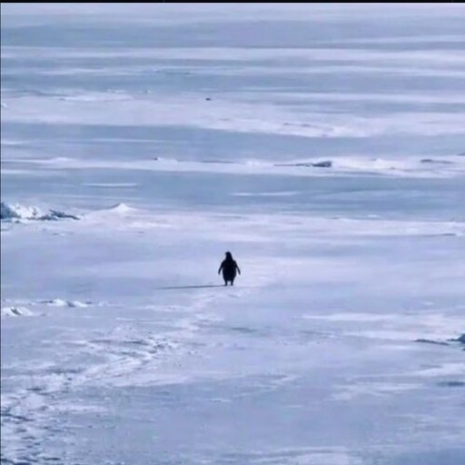 <p>PENGUIN 空投：50,000 USDT</p>