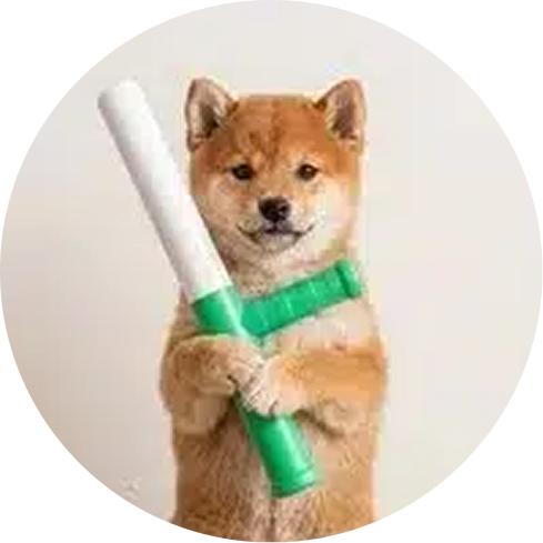 BATON