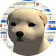 HTTPS