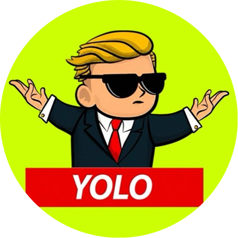 YOLO1