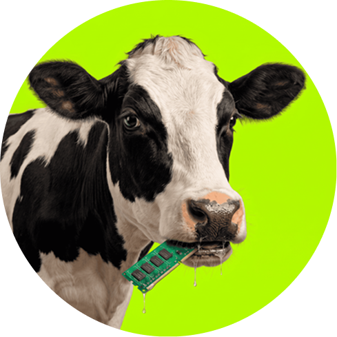 MOO